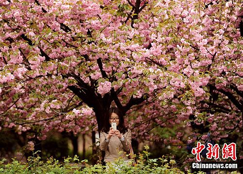点图查看下一页