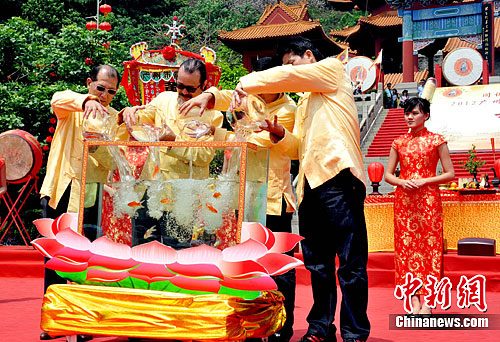 点图查看下一页