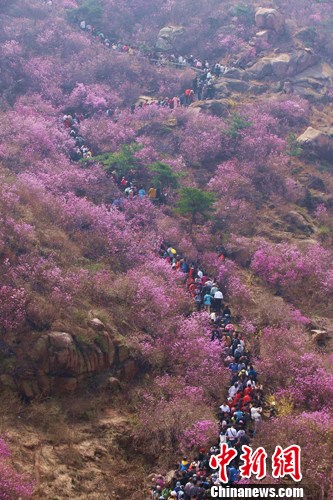 点图查看下一页