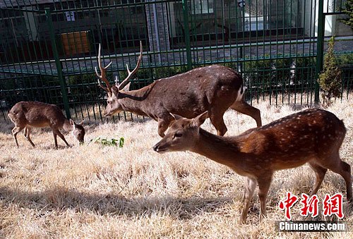 点图查看下一页