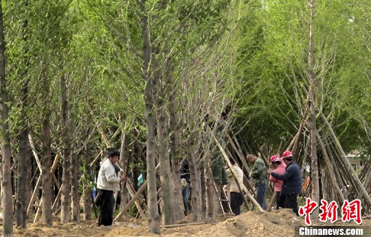 点图查看下一页