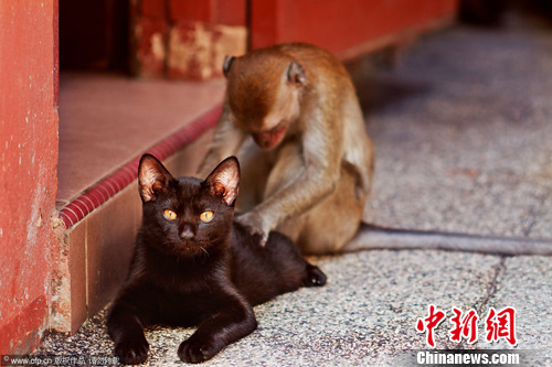 点图查看下一页