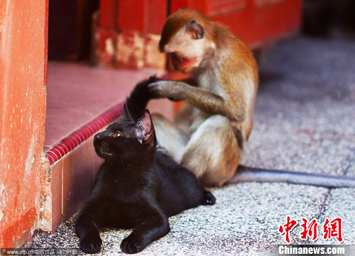 点图查看下一页