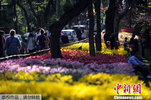 点图查看下一页