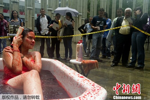 哥伦比亚美女血浴缸中沐浴抗议用动物做实验2