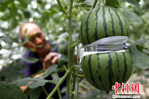 点图查看下一页
