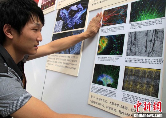 点图查看下一页