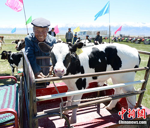 点图查看下一页