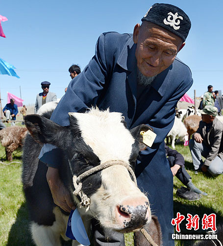 点图查看下一页