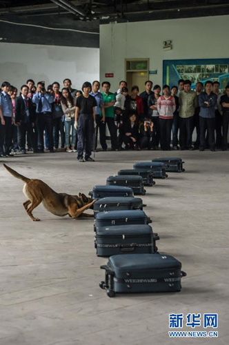 点图查看下一页