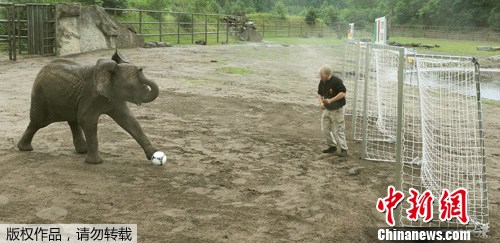 点图查看下一页