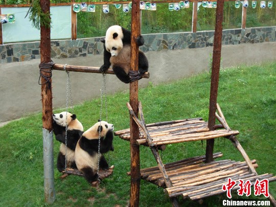 点图查看下一页