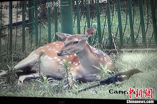 点图查看下一页