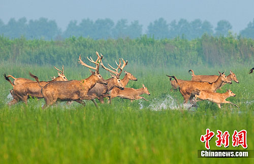 点图查看下一页