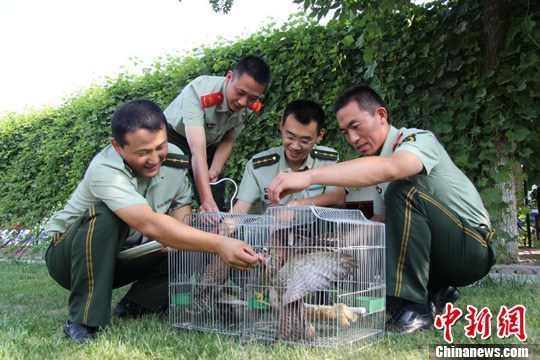 点图查看下一页