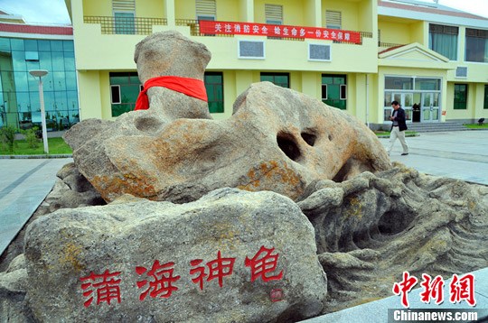 点图查看下一页
