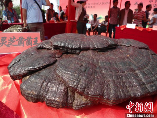 点图查看下一页