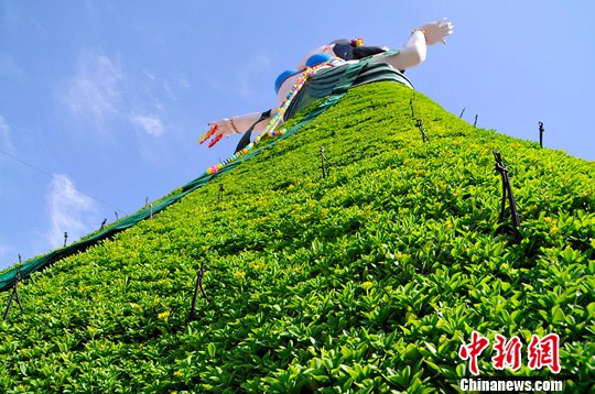 点图查看下一页