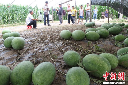 点图查看下一页
