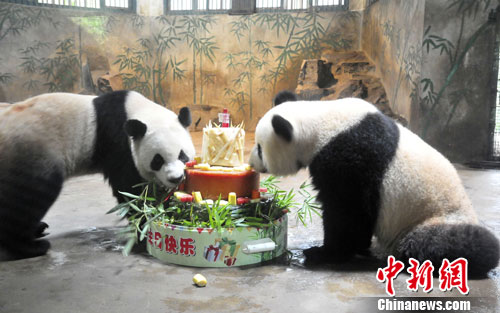 点图查看下一页