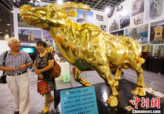 点图查看下一页