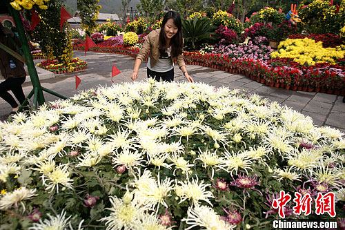 点图查看下一页