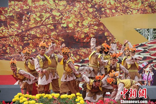 点图查看下一页