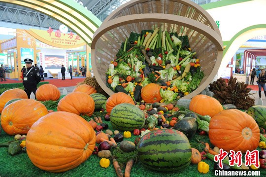 哈尔滨世界农博会开幕家庭小菜园现身会场