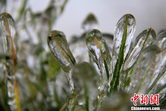 点图查看下一页