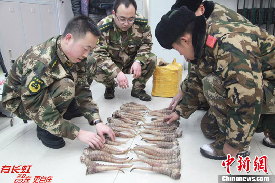 点图查看下一页