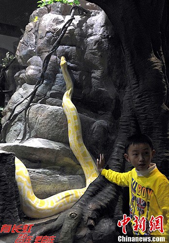 广州长隆野生动物世界生态主题蛇园盛大开园