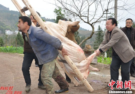 点图查看下一页