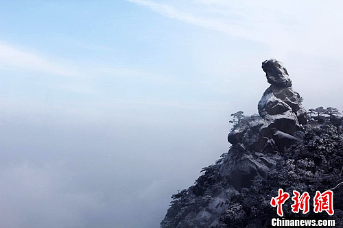 点图查看下一页