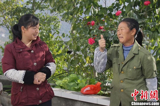 点图查看下一页