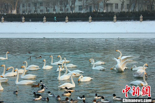 点图查看下一页