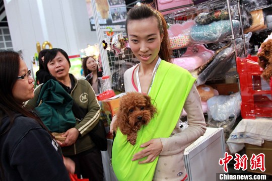 点图查看下一页