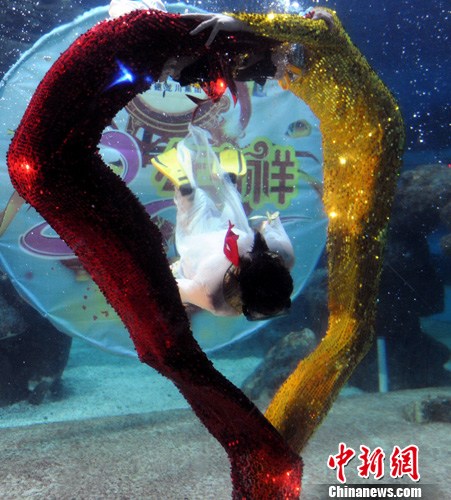 点图查看下一页