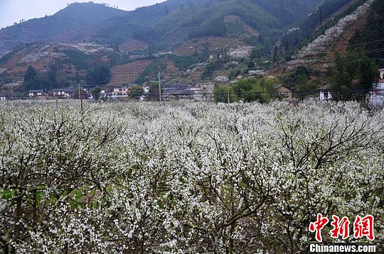 点图查看下一页