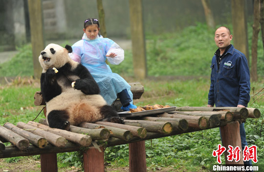 点图查看下一页