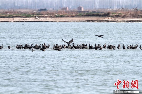 点图查看下一页