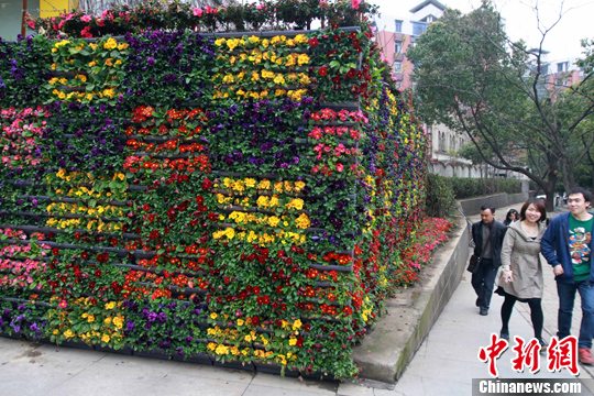 转角花墙扮靓武汉街头