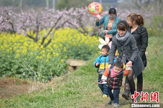 点图查看下一页