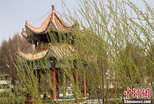 点图查看下一页