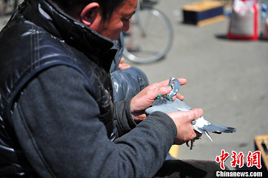 点图查看下一页
