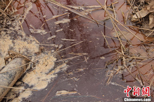 点图查看下一页