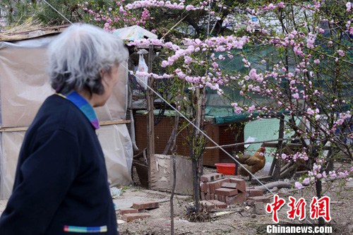 点图查看下一页