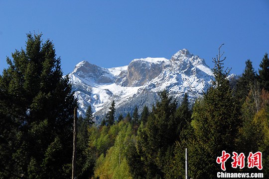 甘肃迭部县初夏雪山风光绮丽