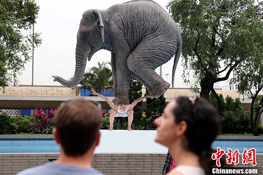 点图查看下一页
