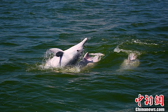 点图查看下一页