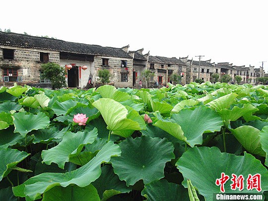 点图查看下一页